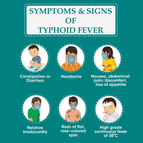 Sign And Symptoms Of Typhoid Fever In Hindi