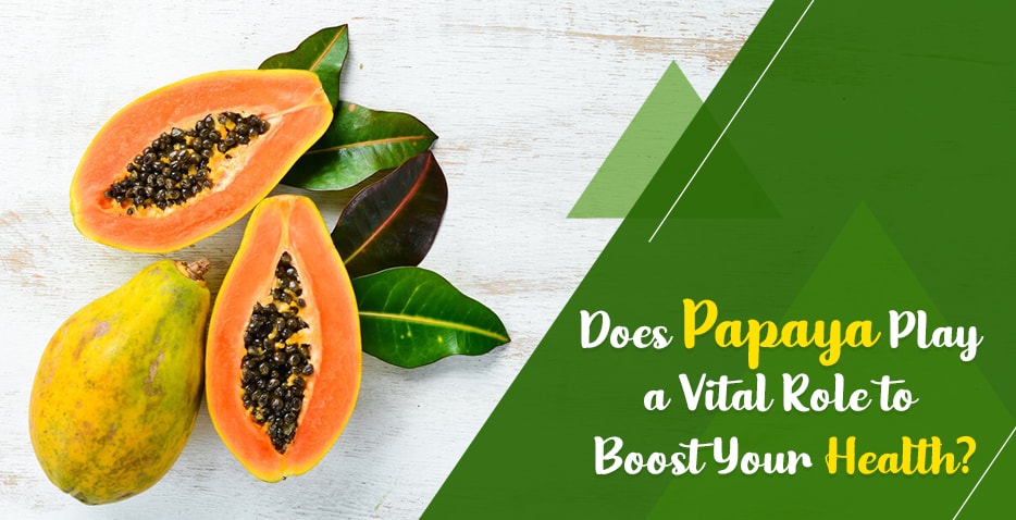 Does Papaya play a vital role to boost your health?