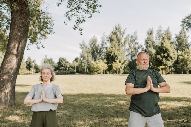 Chair Yoga For Seniors Beginners