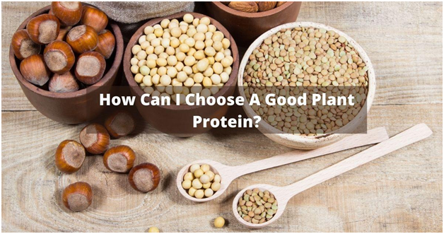 How Can I Choose A Good Plant Protein?