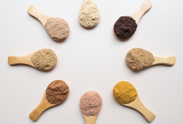 What Is Plant Based Protein Powder?
