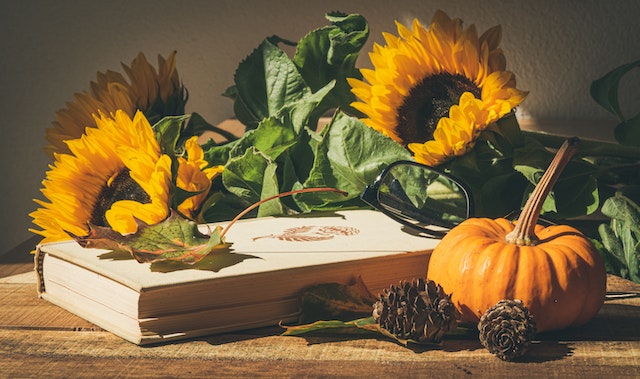 Acorn Squash